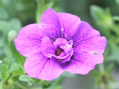 散歩の途中で。3