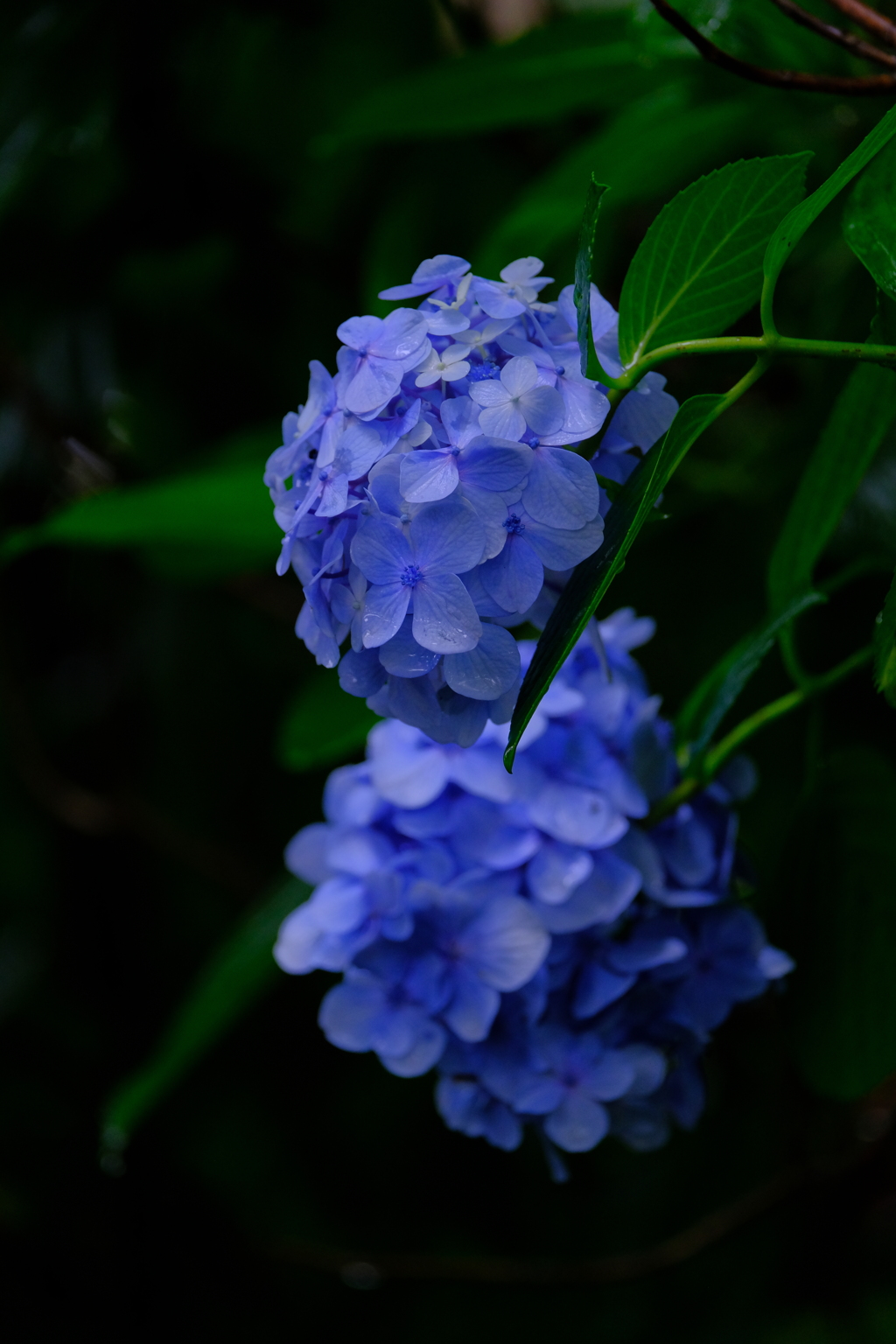 散歩の途中で。⑨