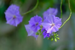 散歩の途中で。Ⅶ