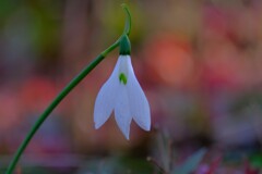 散歩の途中で。Ⅵ