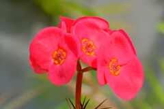 散歩の途中で。Ⅱ