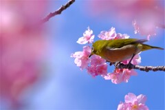 散歩の途中で。8