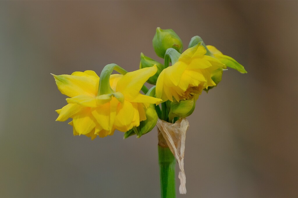 散歩の途中で。⑥