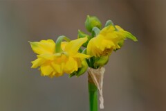 散歩の途中で。⑥