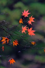 散歩の途中で、遠出　Ⅶ