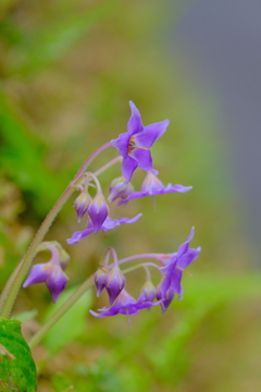 (3)散歩の途中で。3