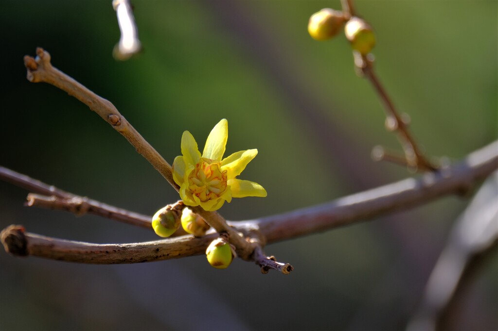 散歩の途中で。④