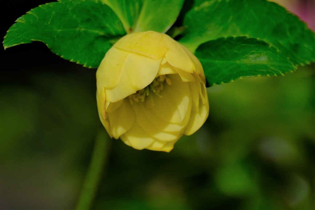 散歩の途中で。③