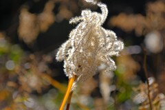 散歩の途中で。２