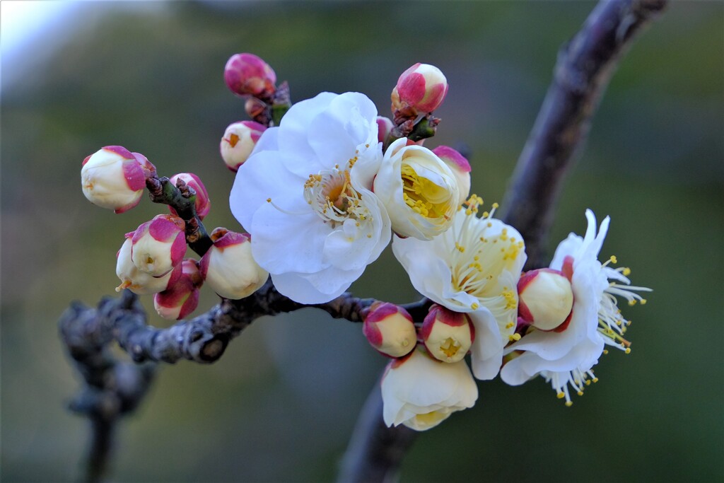散歩の途中で。Ⅴ