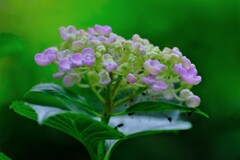 散歩の途中で。Ⅴ