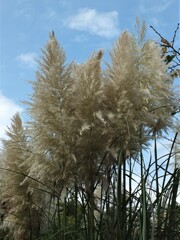 散歩の途中で。２