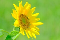 散歩の途中で。