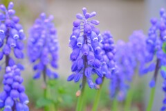 散歩の途中で。①