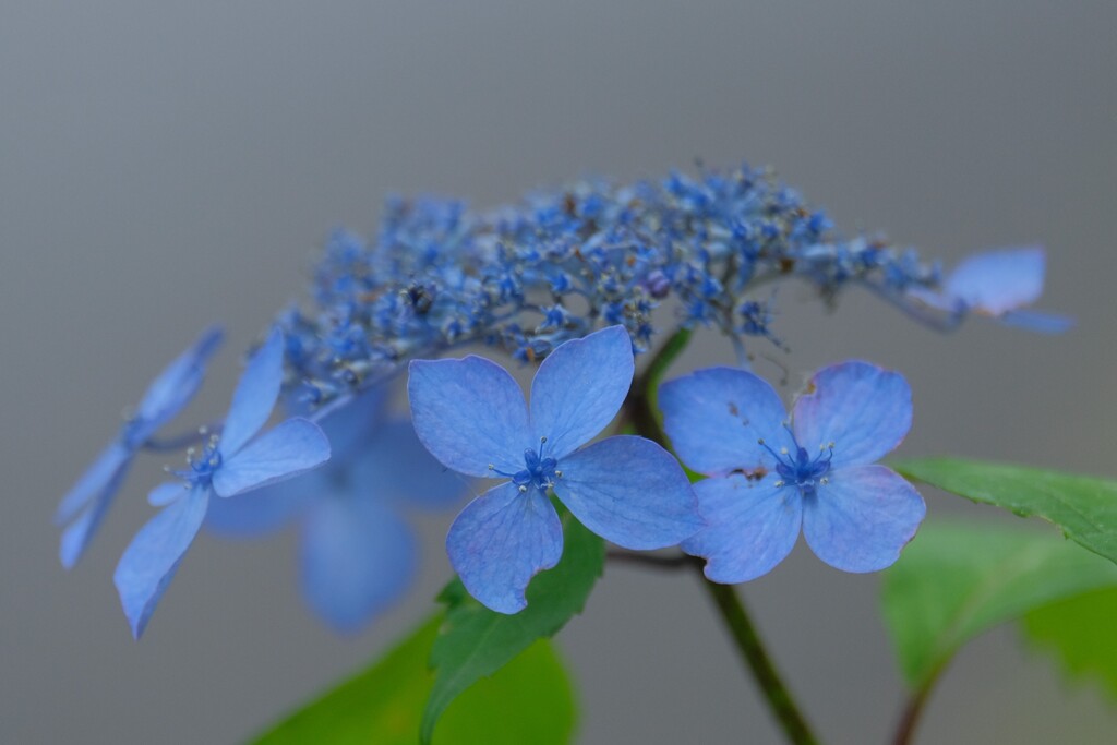 散歩の途中で。