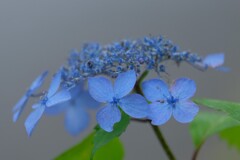 散歩の途中で。