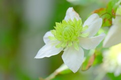 (8)散歩の途中で。5