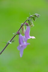 散歩の途中で。４