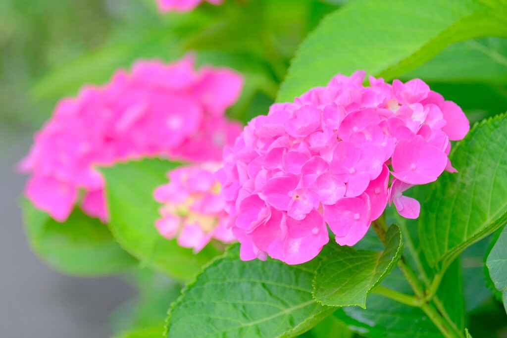 散歩の途中で。