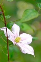 散歩の途中で、⑤