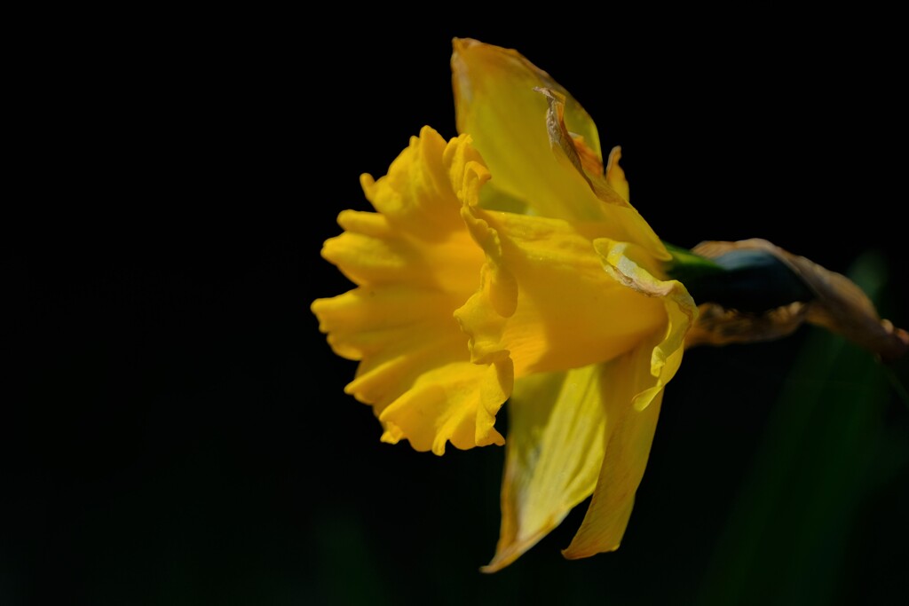 散歩の途中で。③