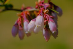 散歩の途中で。３