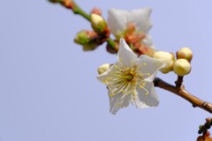 散歩の途中で。５