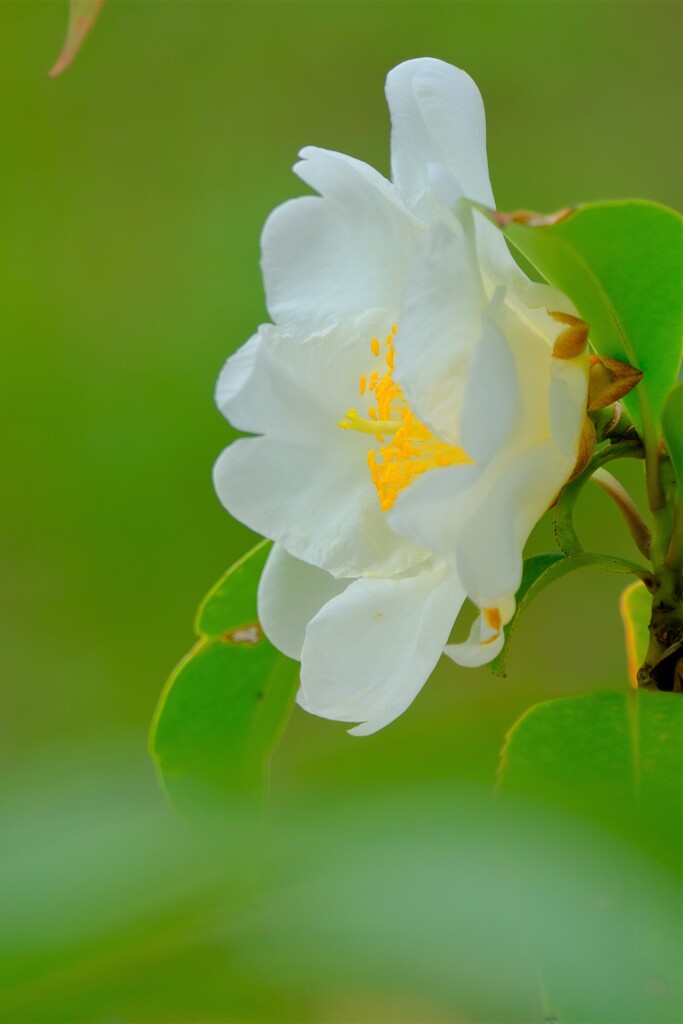 散歩の途中で。1