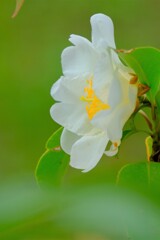 散歩の途中で。1