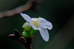 散歩の途中で。Ⅴ