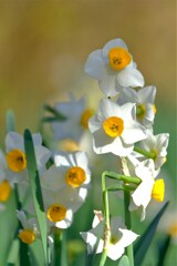 散歩の途中で。③