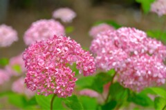 散歩の途中で。⑦