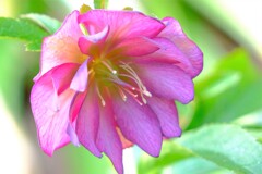 散歩の途中で。Ⅴ