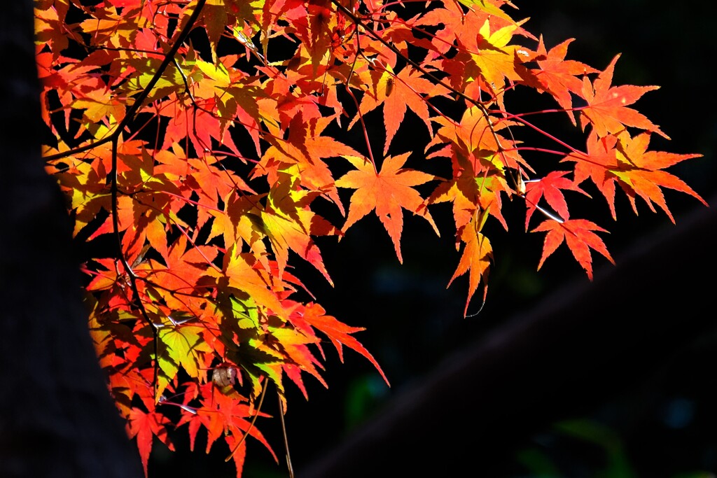 散歩の途中で、Ⅲ