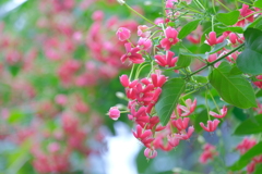 散歩の途中で。