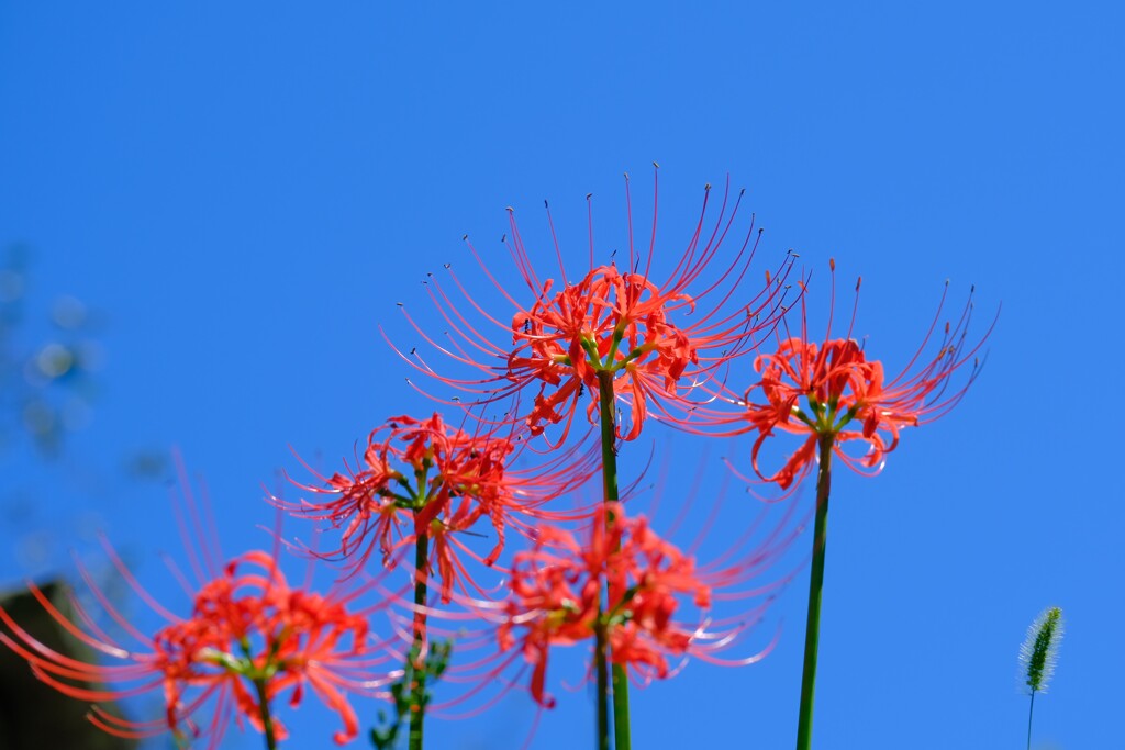 散歩の途中で。①