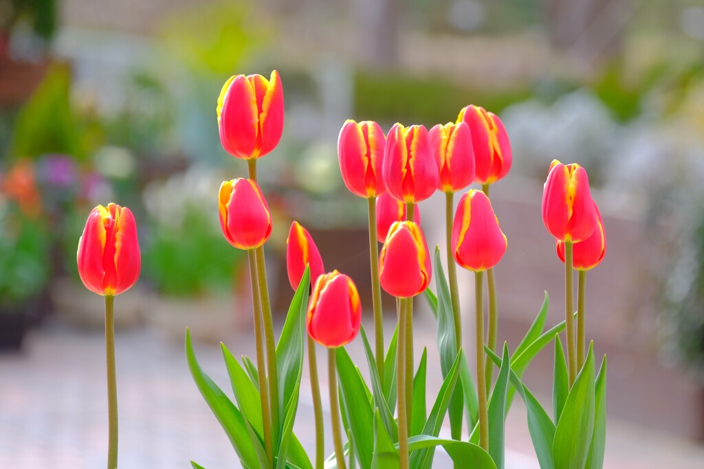 散歩の途中で。①