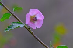 散歩の途中で。Ⅰ