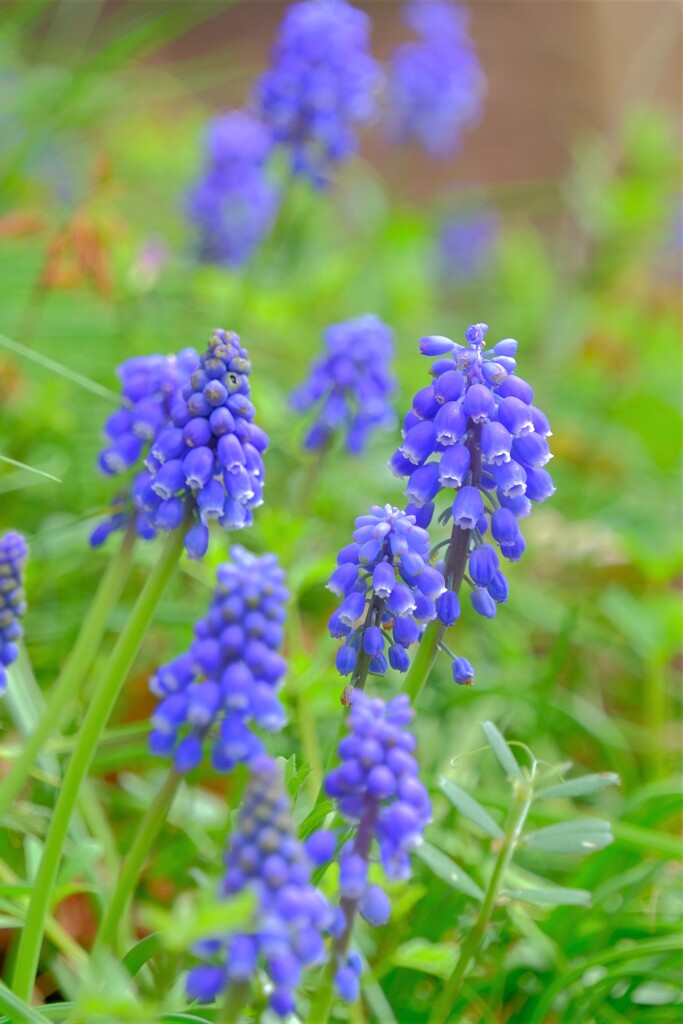 散歩の途中で。⑧