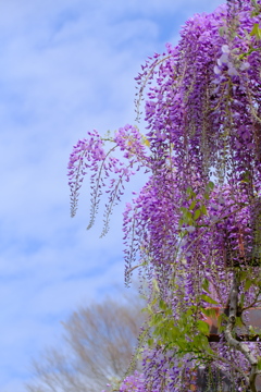 散歩の途中で。Ⅱ