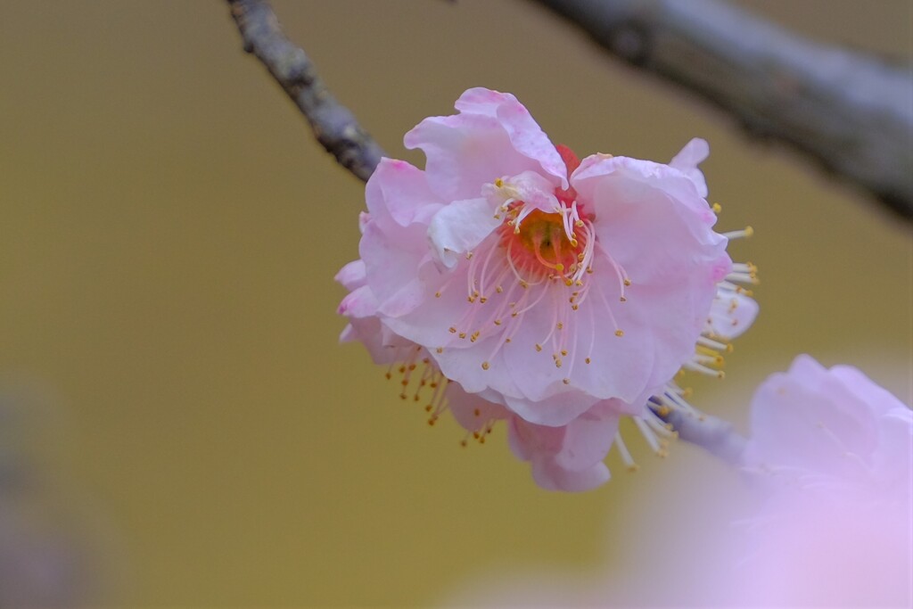 散歩の途中で。９