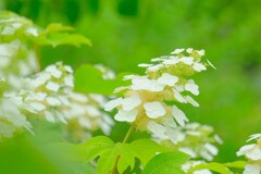 散歩の途中で。