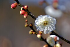 散歩の途中で。Ⅰ