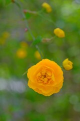 散歩の途中で。Ⅰ