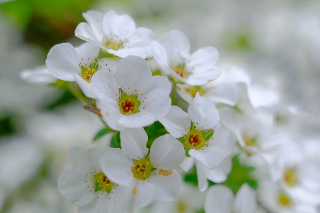 散歩の途中で。Ⅹ