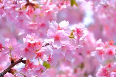 散歩の途中で。③