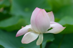 散歩の途中で。