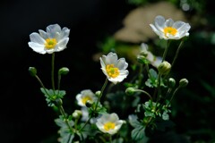 散歩の途中で。Ⅰ