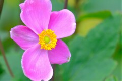 散歩の途中で。１