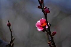 散歩の途中で。Ⅰ